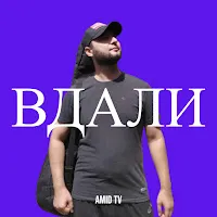 Amid Tv — Вдали — обложка